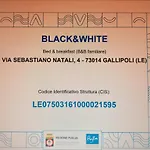 Black-and-white Bed & Breakfast 4*