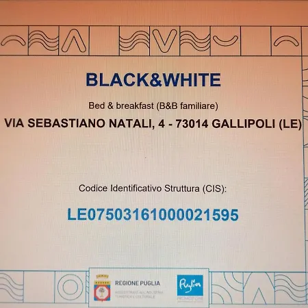 Black-and-white Nocleg ze śniadaniem 4*
