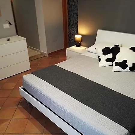 Black-and-white B&B 4*